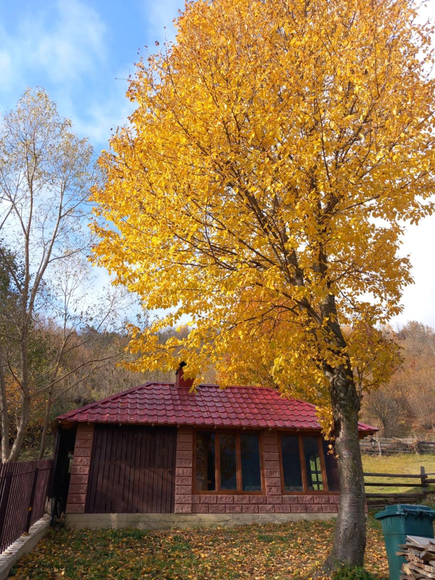 синевирський краєвид 别墅 库尼贡达